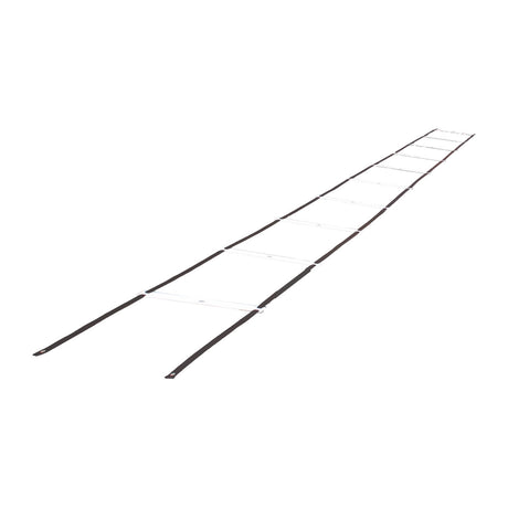 Champion Sports Deluxe Agility Ladder