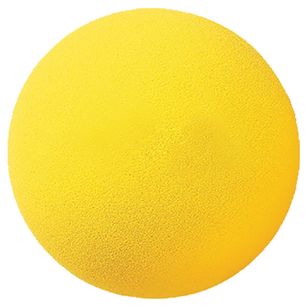 Champion Sports Uncoated Regular Density Foam Ball