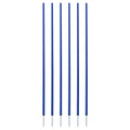 Champion Sports Coaching Sticks