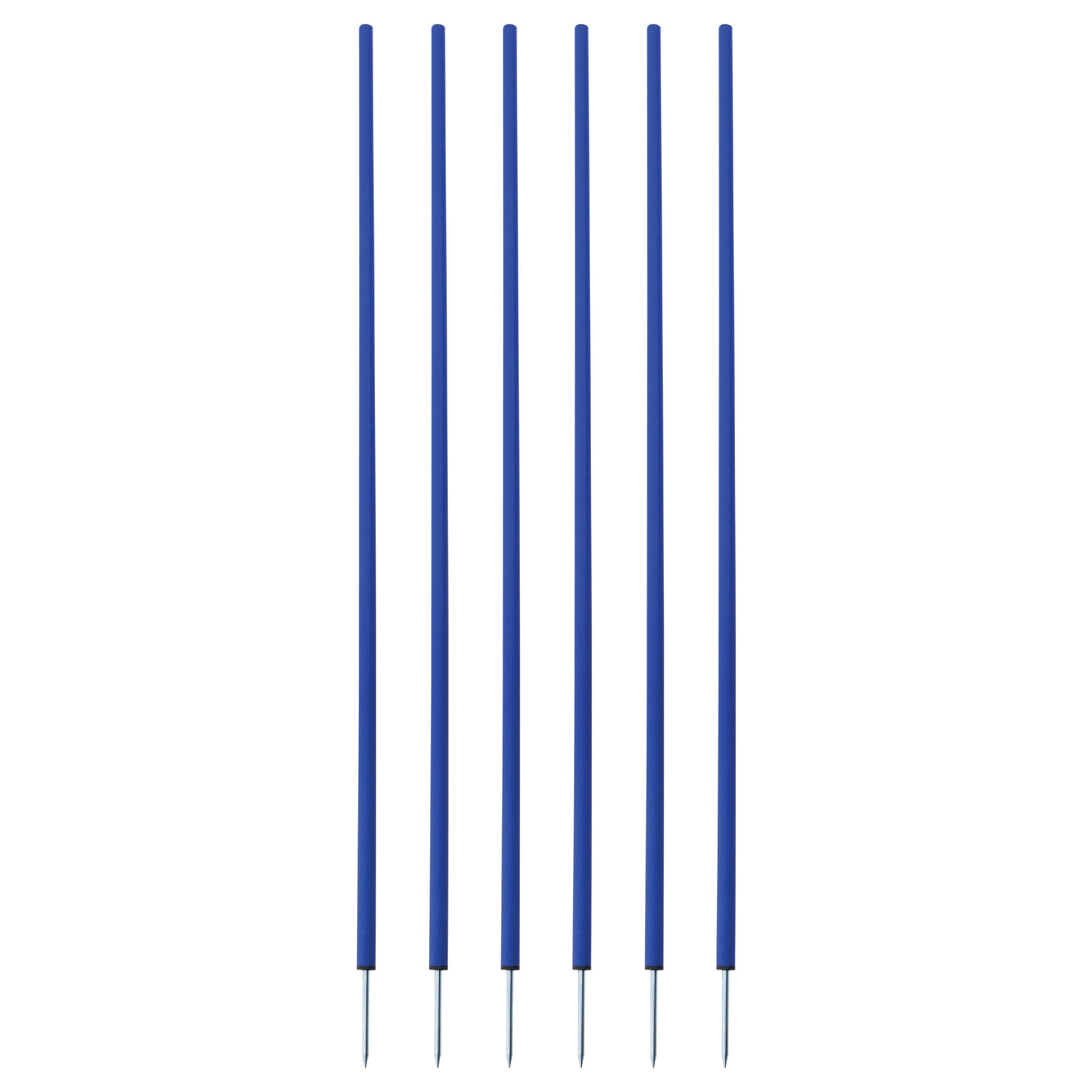 Champion Sports Coaching Sticks