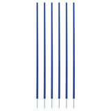 Champion Sports Coaching Sticks