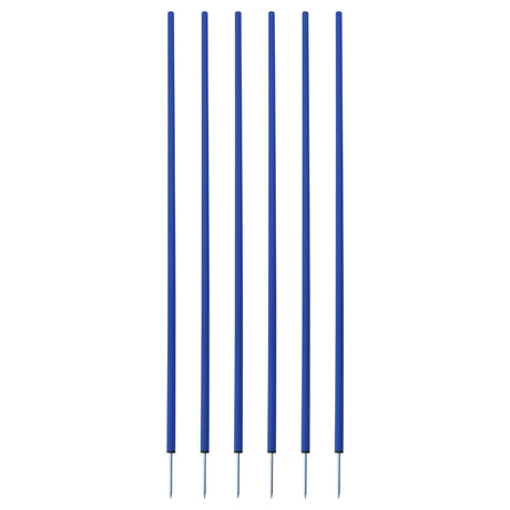 Champion Sports Coaching Sticks