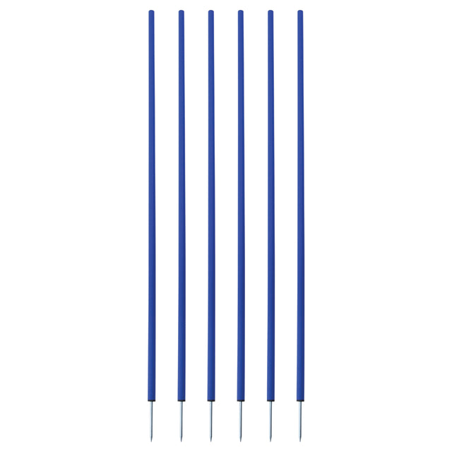 Champion Sports Coaching Sticks