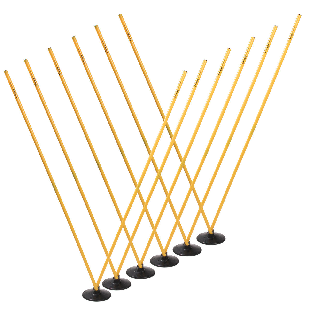 Champion Sports Agility Pole - Thumbnail 2