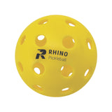 Champion Sports Injection Molded Outdoor Pickleball Set