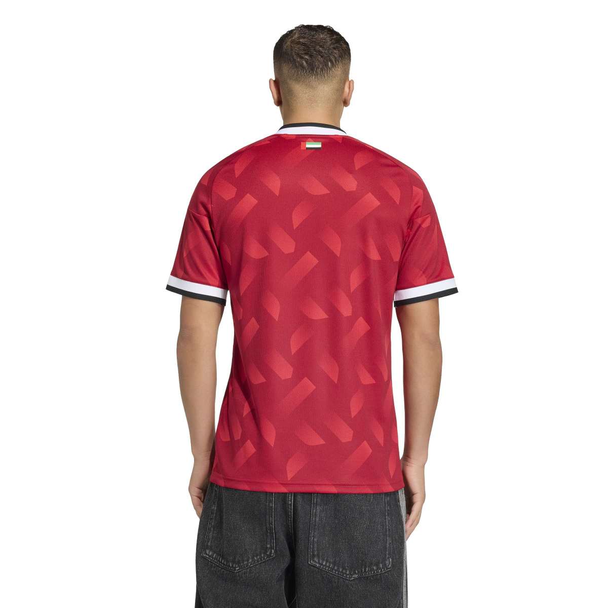 adidas Men's United Arab Emirates 26 Away Jersey-5