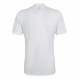 adidas Men's Qatar 26 Away Jersey-2