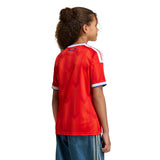 adidas Youth Chile 26 Home Jersey-4