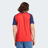 adidas Men's Spain 26 Home Jersey-2