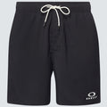 Oakley Clear Lake 18" Volley Shorts-1