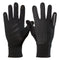 Gloves & Scarves