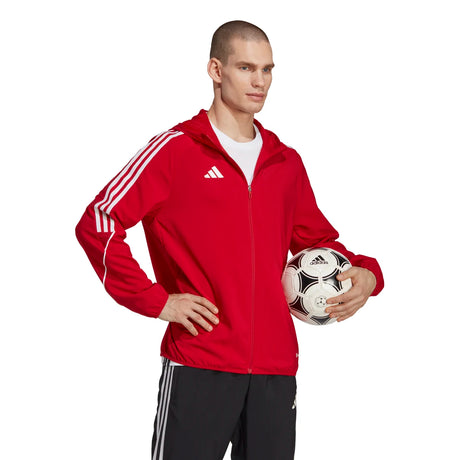 301931987.webp