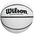 Wilson Autograph Mini Basketball-1
