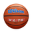 Wilson Evolution Basketball-1