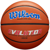 Wilson Evolution Basketball-1