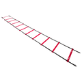 Wilson Pro Training Ladder-1