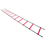 Wilson Pro Training Ladder-1