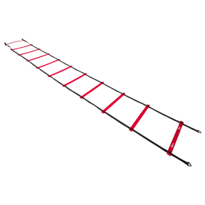 Wilson Pro Training Ladder-1