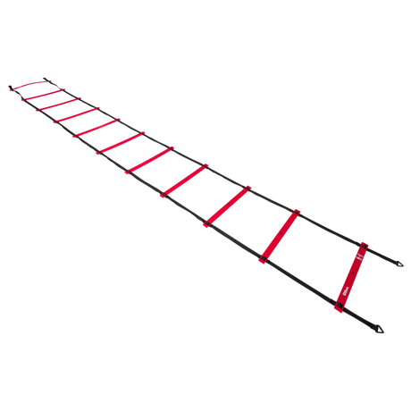 Wilson Pro Training Ladder-1