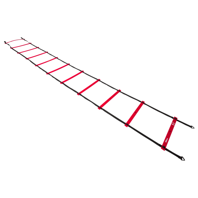 Wilson Pro Training Ladder-1