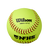 Wilson Nfshsa 12 Softball Sst-1