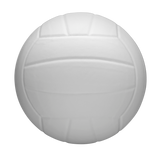 Wilson Nova Volleyball-5