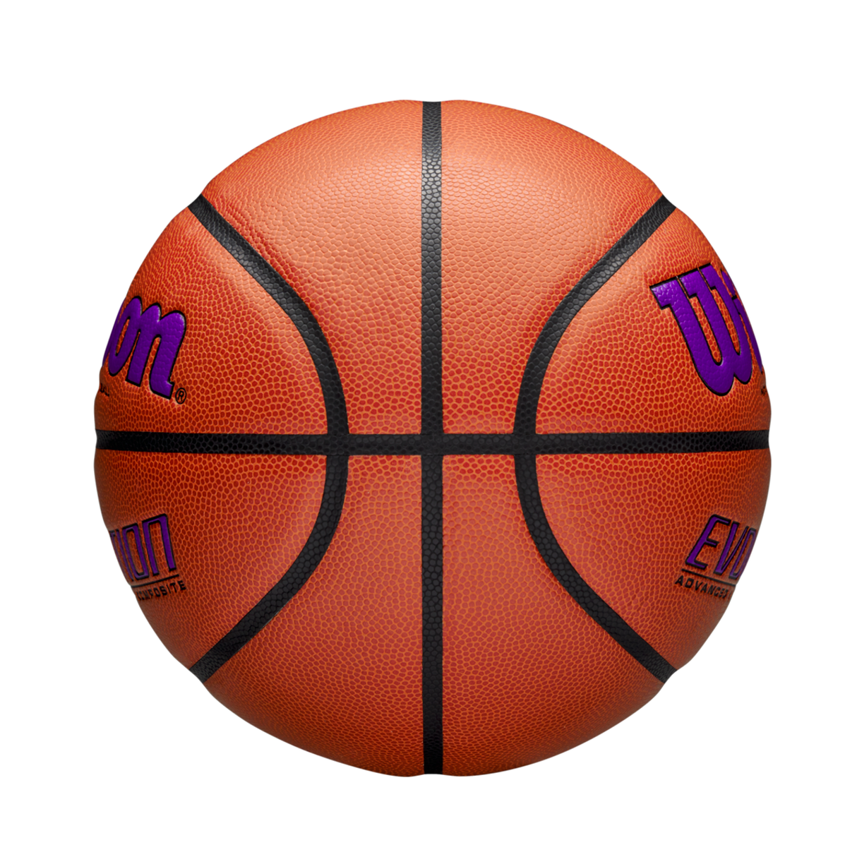 Wilson Adult Evolution Basketball-4