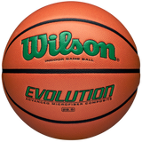 Wilson Adult Evolution Game Ball Basketball-1