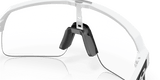 302960006.png