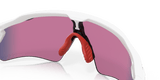 302961531.png