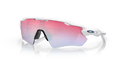 302961587.png