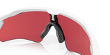 302961595.png