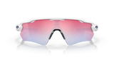 302961597.png