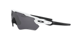 302962066.png