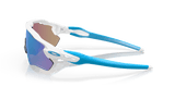 302962266.png