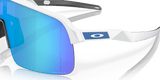 302971217.png