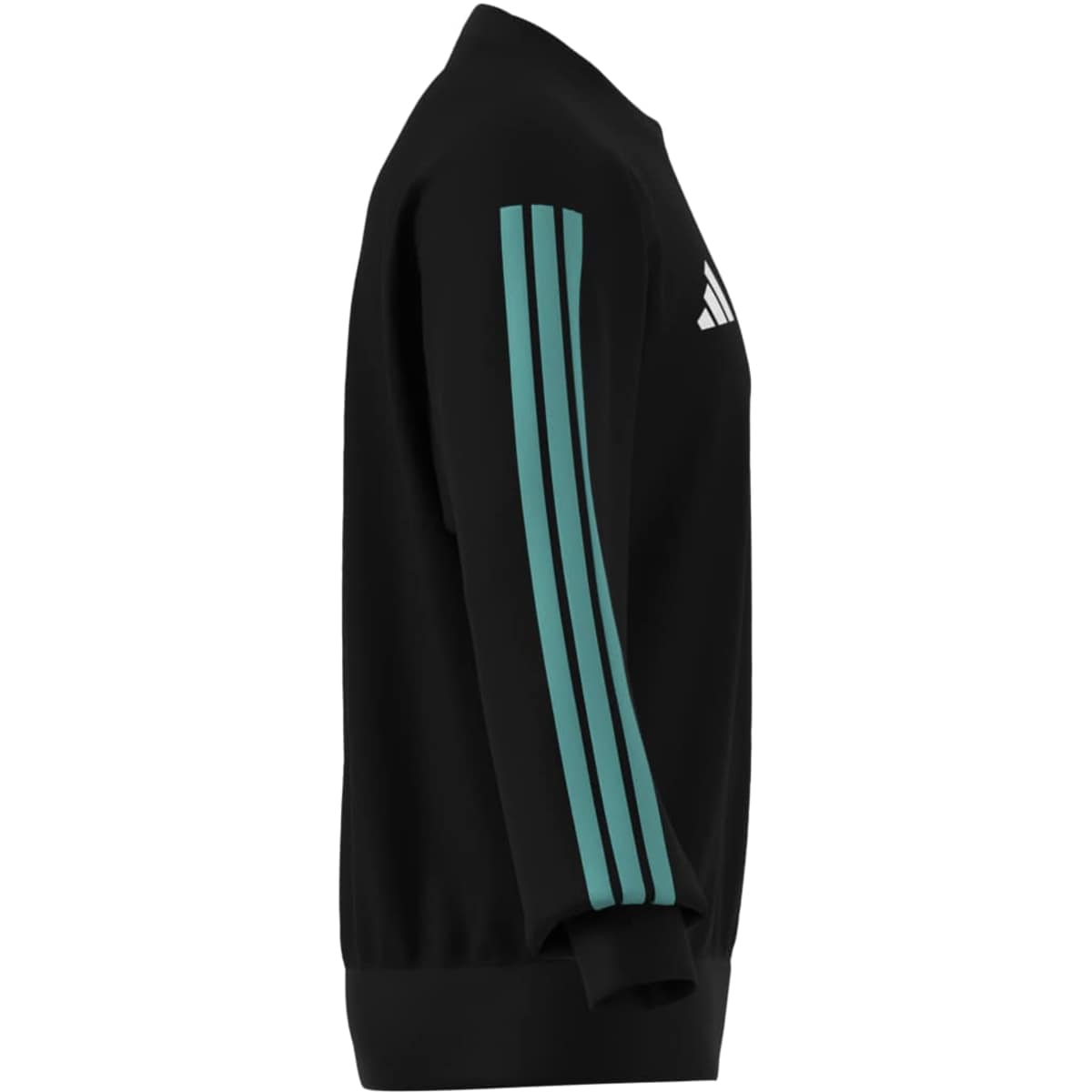 adidas Men's Mercedes-Amg Petronas Formula 1 Team Dna Sweat Top-9