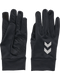Gloves & Scarves