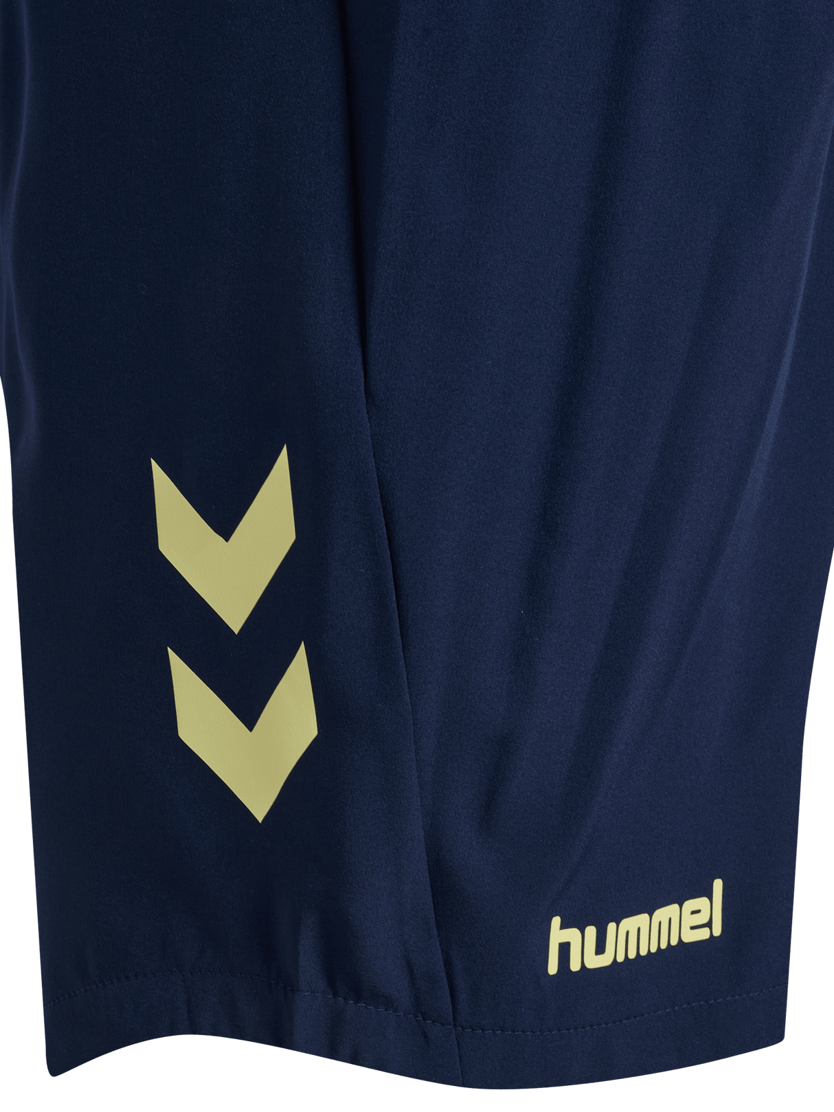 hummel Youth Blaze 2.0 Training Shorts-3