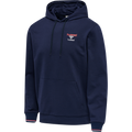 hummel Unisex Icons Dayton Hoodie-1