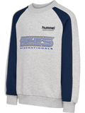 hummel Youth Oversized Iconic Crew Bees-1