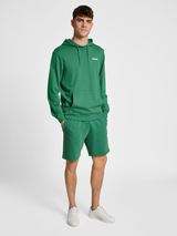 hummel Men's Legacy Gabe Hoodie-4