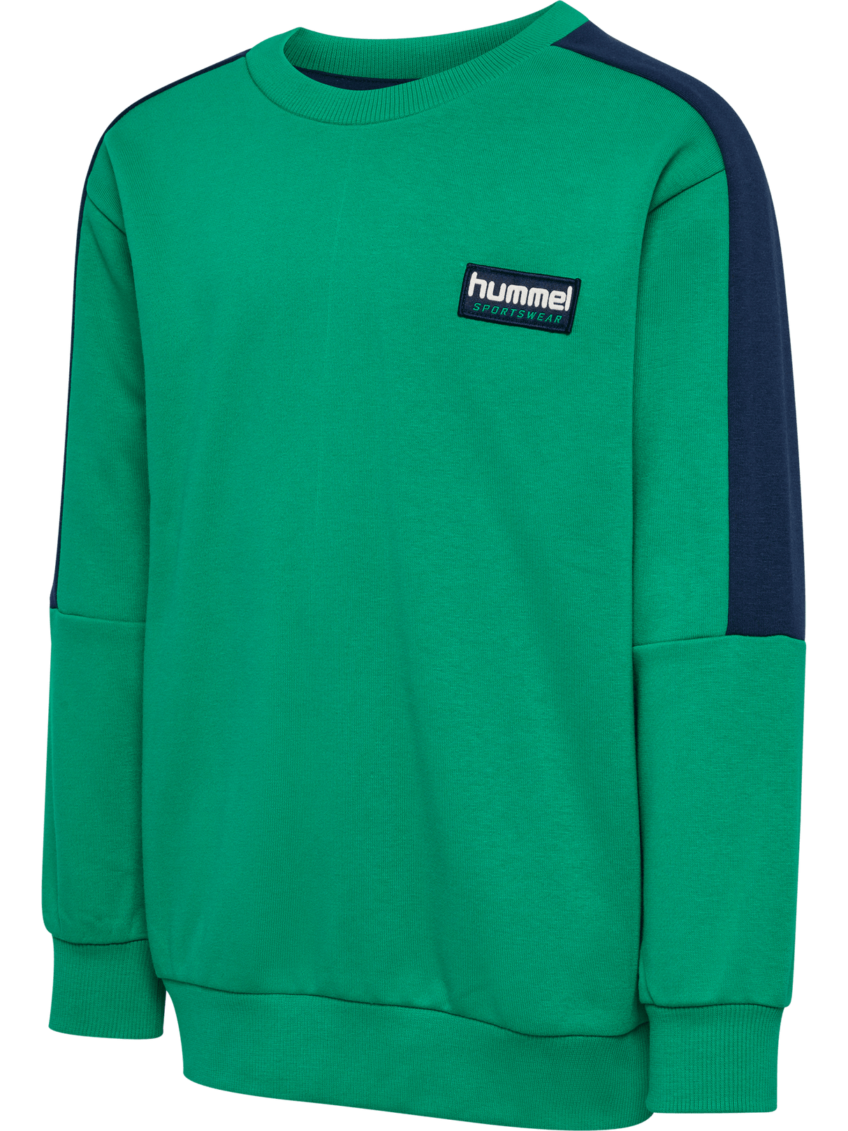 hummel Youth Dixen Sweatshirt-1