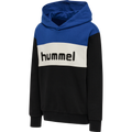 hummel Youth Morten Hoodie-1
