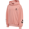 hummel Youth Due Hoodie-1