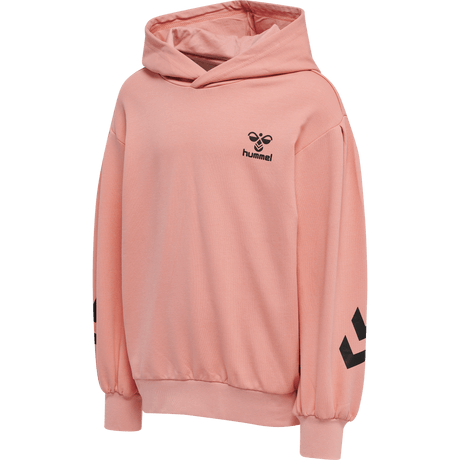 hummel Youth Due Hoodie-1