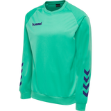 hummel Youth Promo Poly Sweatshirt-1