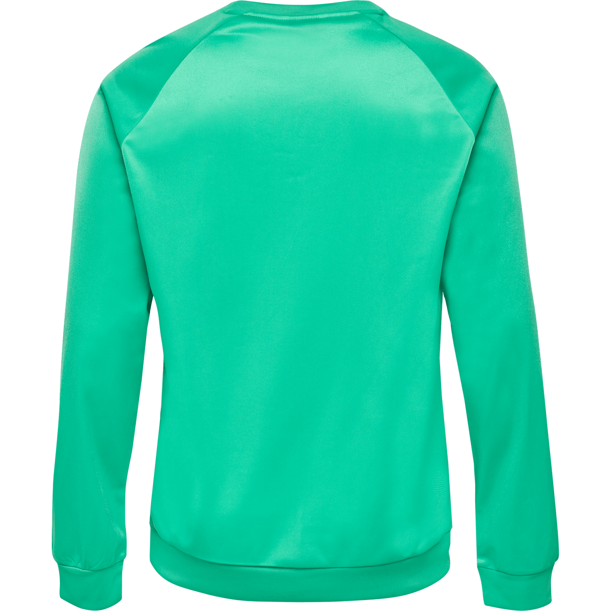 hummel Youth Promo Poly Sweatshirt-2