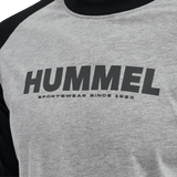 hummel Unisex Legacy Blocked Long Sleeve T-Shirt-3