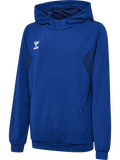 hummel Youth Authentic Polyester Hoodie-1